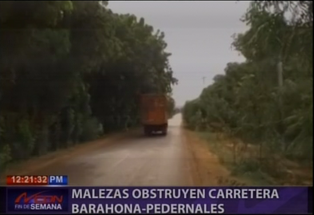 Malezas obstruyen carretera Barahona-Pedernales - CDN